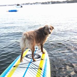 Meet your Posher, Michaela